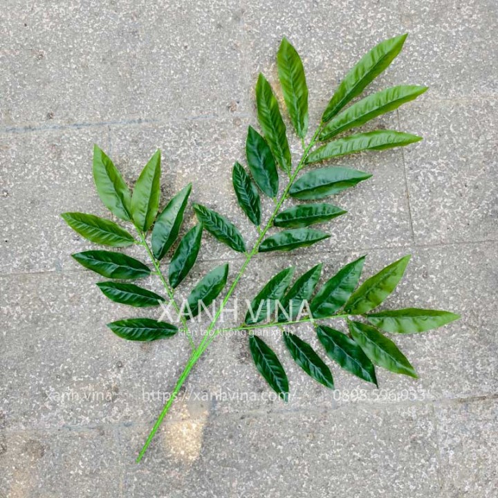 Cành lá cóc giả